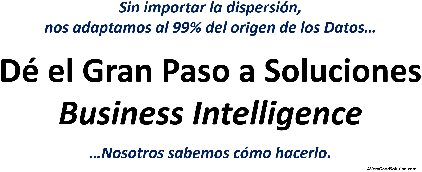 Las Soluciones Business Intelligence de AVeryGoodSolution se adaptan al 99% de la dispersión de los datos.